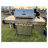 Professional Series Gas Grill