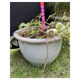 Ceramic Planter w/Plant