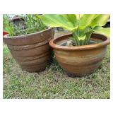 (2) Brown Ceramic Planters w/Plants