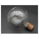 Antique Edison Style Large Light Bulb