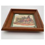 Ring Necked Pheasant Framed Print