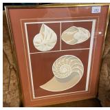 David Allgood Nautilus & Seashells Print