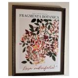 Fragmenta Botanica Framed Botanical Print