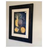 Pineapple Botanical Study Print