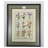 Botanical Wildflower Needlepoint Sampler
