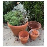 Terracotta Planters Lot