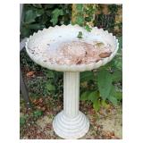 Bird Bath