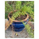 Blue Ceramic Planter