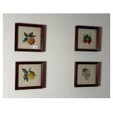 Set of 4 Botanical Fruit Needlepoint Framed Art