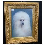 Framed Poodle Photo Ornate Frame