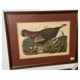 John James Audubon Wild Turkey framed Print
