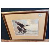 Canada Geese In Flight Print Christopher Forrest