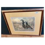 Canada Geese Wildlife Print Christopher Forrest