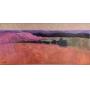 Art Francis Dodd Oil on Canvas "Orange Meadow"