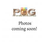 Antique Penny Drop Machine  Trade Simulator Parts