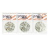 Coin (3) 2024  American Silver Eagles ANACS  MS70