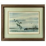 Art JC Westall Signed Numbered Print Of Ducks