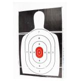 80 Assorted Gun Fun Targets