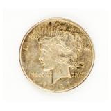 Coin 1921 Peace Silver Dollar Extra Fine