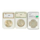 Coin 3 Certified and Graded Peace Silver Dollars
