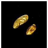 Coin 2.7 Grams Gold Nuggets