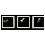 Lot of 6 Blue Nile Opal Cabochon Gemstones