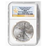 Coin 2013-W  American Silver Eagle NGC MS70