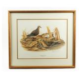 Richard Evans Younger "Mourning Dove" Framed Print