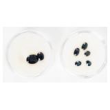 Jewelry Lot of 7 Sapphire Gemstones