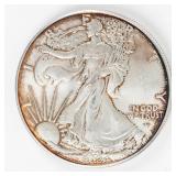 Coin 2024  American Silver Eagle Extra Fine
