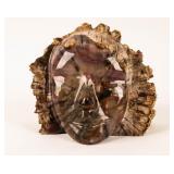 Petrified wood Face Figurine