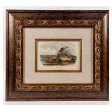 Art "Orange Colored Mouse" Lithograph John Audubon