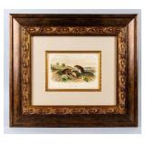 Framed Lithograph Titled 'Cotton Rat' J.J. Audubon