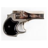 Gun High Standard Derringer .22 Magnum