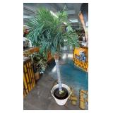 Potted Artificial Coconut Palm Tree