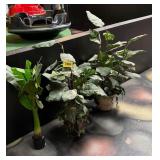3 Potted Artificial Plants