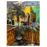 2 Tropical Potted Plants