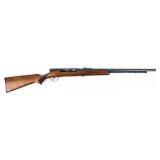 Gun Savage 6A Semi Auto Rifle in .22 LR