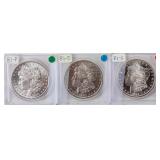 Coin 3 Morgan Silver Dollars 81-P, O & S BU DMPL
