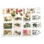 Antique Floral/Bird Greeting & Wishes Post Cards