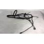 English Bridle with Flash
