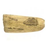 Catalpa Scrimshaw