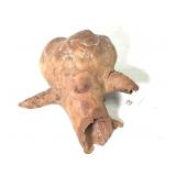 Larch Wood Burl Root