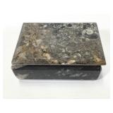 Turritella Fossilized Agate Box 5 1/2" X 4"