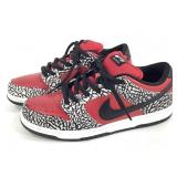 RARE Nike Supreme x Dunk Premium SB M10