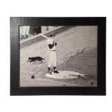 Framed Ron Santo Autographed Photo w/ COA