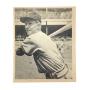 10/27 SPORTS Bob Knight Neiman Art CUBS IU & Rare Cards