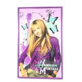 Signed Hannah Montana Wall Art