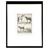 Atq Etching Printed by R. Pozzatti 1964, 4 Animals
