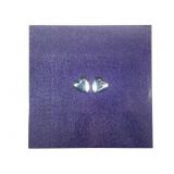 Songs: Ohia  Axxess & Ace SC24